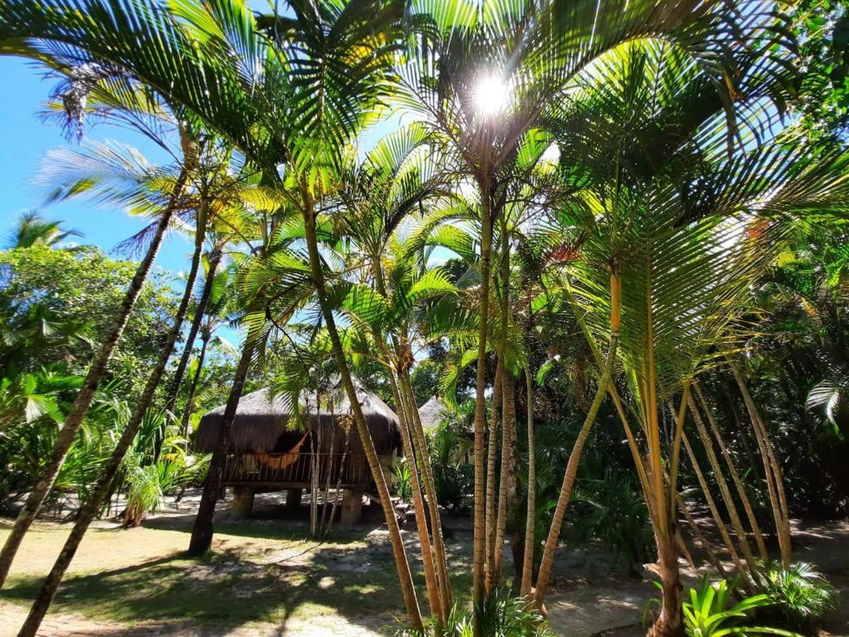 Aldeia Da Mata Guest house
